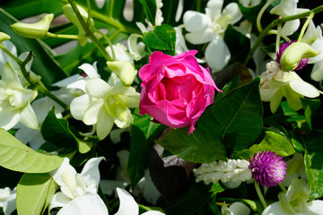 Pattern of natural flowers background texture