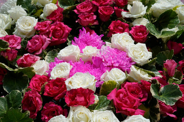 Pattern of natural flowers background texture