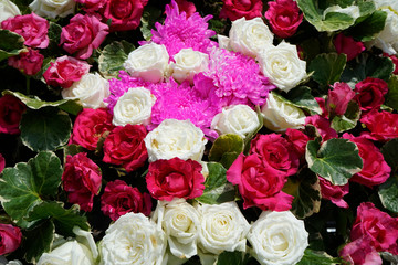 Pattern of natural flowers background texture