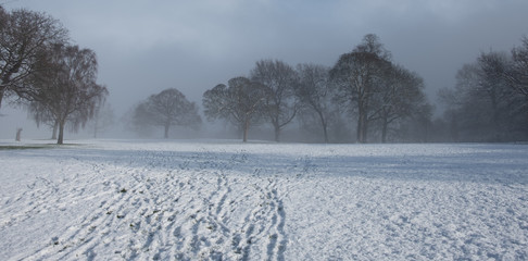 Hazy winter