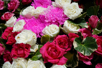 Pattern of natural flowers background texture