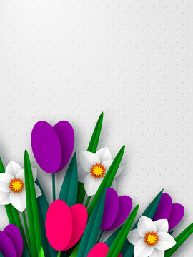 Fototapeta Spring floral composition. Empty template for greetings or seasonal sales. Paper cut spring flowers narcissus and tulps on white background. Copy space. Vector.