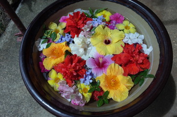 水辺のサラダボウル