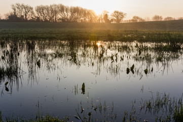 Lever de soleil sur un marais 
