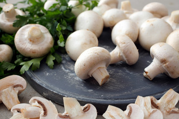 funghi freschi su taglieri grigio