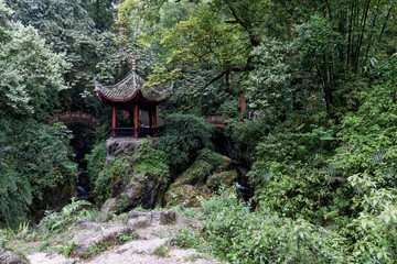 Góra Emei, Chiny © Miroslaw