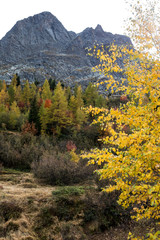 Die wunderbare Welt des Wallis im Herbst