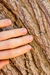 Hands hug tree