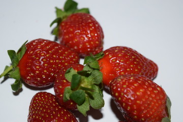 food, garden, fruit, farm, strawberry, plantation, nursery, lanka, sri, eliya, nuwara, color, red, summer, bright, flower, plant, season, landscape, close-up, freshness, organic, field, structure, gro