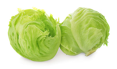 Green iceberg lettuce on white background