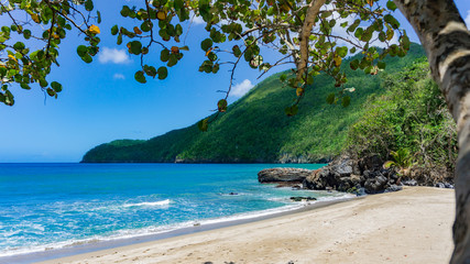 Ein Strand mit Bergen und Baum in der Karibik
