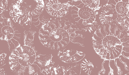 Abstract background of fossil Ammonites, Ammonoidea. Decorative wallpaper of petrified shells. Print from white textured spirals of seashells on gray-brown backdrop. Stamps of Cephalopoda mollusks.