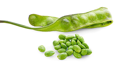 Parkia speciosa seeds or bitter bean on white background