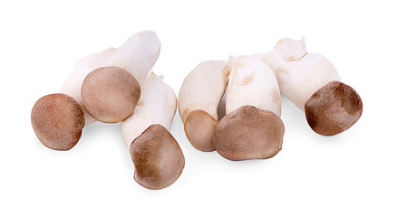 Eryngii mushroom or King oyster mushroom on a white background