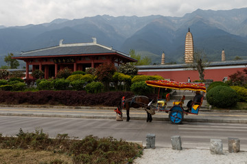 Wóz dwukołowy z woźnicą © Miroslaw