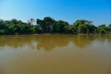 Pantanal forest ecosystem, Mato Grosso, Brazil