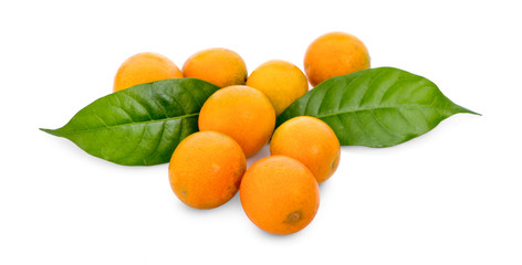 tangerine orange on white background