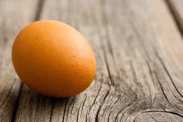 single egg on weathered wooden table