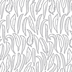Background pattern with feathers 