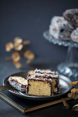Australian Lamington cake, sponge cake with chocolate and coconut