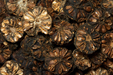 Organic Dried Noni seeds. Macro closeup background texture.