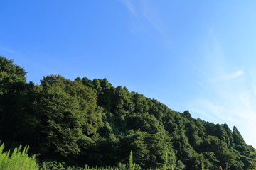 爽やかに晴れた秋の里山