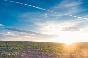 A scenic winter sunset over a large meadow.