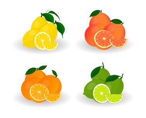 Citrus fruits. Lemon, orange, lime and grapefruit. Set of whole fruits and slices.