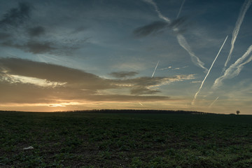 A scenic winter sunset over a large meadow.