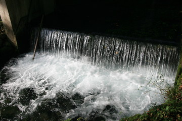 Wasser