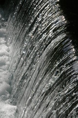 Wasser