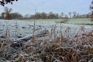 Herbst Winter Impressionen
