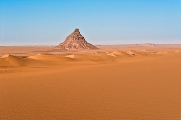 Fototapeta na wymiar Großartige Saharalandschaft mit Ziegenherde