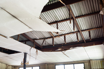 termite destroy the structure and ceiling of the abandoned home