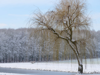 Winterzeit im Münsterland