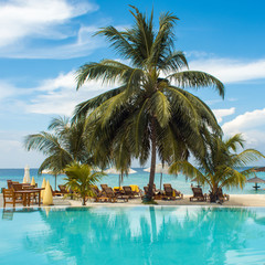 Fototapeta na wymiar Blue water in the swimming pool and fluffy palm trees. Luxury resort on tropical iseland.