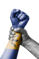 Fototapeta premium Fist painted in colors of Barbados flag, fist flag, country of Barbados
