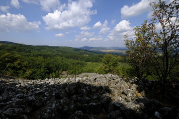 Blockschutthalden und Naturwaldreservat am Schafstein, Biosphärenreservat Rhön, Hessen, Deutschland