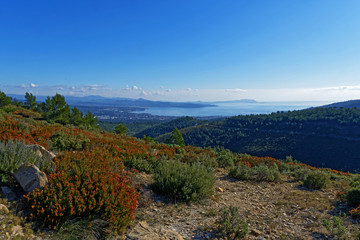 Paysage garrigue