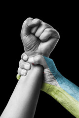 Fist painted in colors of Djibouti flag, fist flag, country of Djibouti