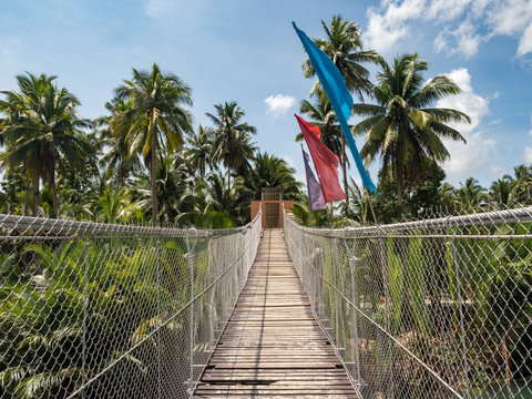 Pedestrian hanging bridge over river in tropical forest, Bohol, Philippines. November, 2018
