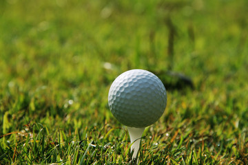 Golf ball on tee in the evening golf course with sunshine in thailand
