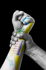 Fist painted in colors of Virgin islands us flag, fist flag, country of Virgin islands us