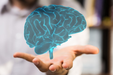 brain