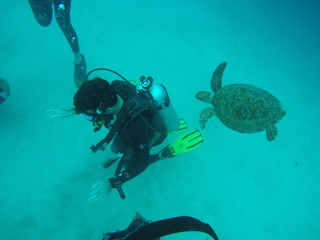 Fototapeta premium Diving fun in the Philippines