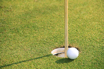 Golf ball close up on green in golf coures at Thailand