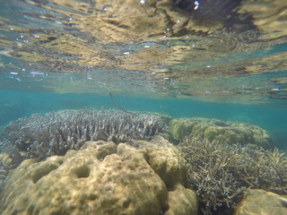 Underwater fun and remarkable moments