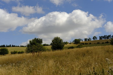 Landschaft am Ellenbogen, Biosph&auml;renreservat Rh&ouml;n, Th&uuml;ringen, Deutschland