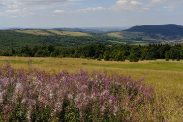 Landschaft am Ellenbogen, Biosph&auml;renreservat Rh&ouml;n, Th&uuml;ringen, Deutschland