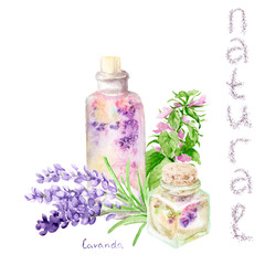 watercolor drawings, compositions on the theme of natural cosmetics